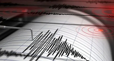Japonya'da 7.1 Büyüklüğünde Deprem: Tsunami Alarmı Verildi