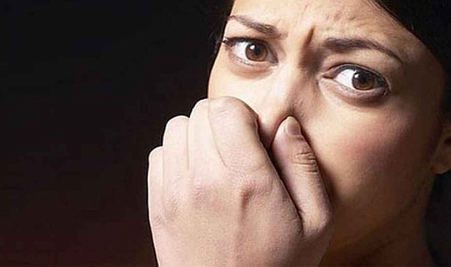 Bingöl OSB’de Koku Nedeniyle Bir Firmaya Ceza ve Faaliyet Durdurma Kararı