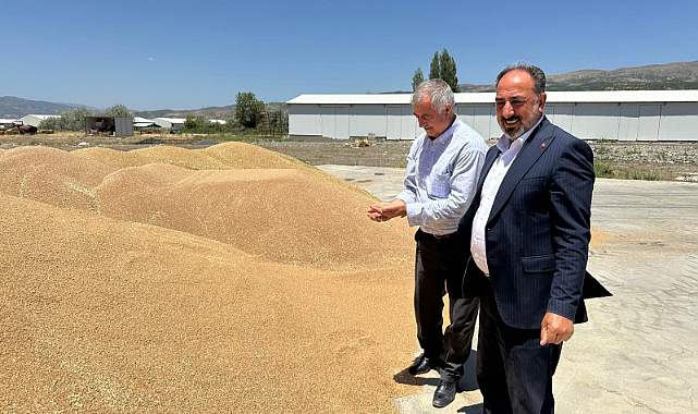 2 bin 750 ton buğday hasat edildi