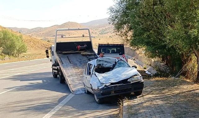 Bingöl Karlıova’da otomobil ineklere çarptı: 1 yaralı