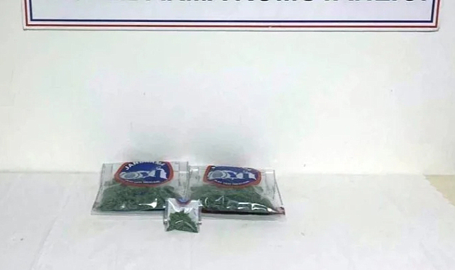 Bingöl’de 2 Kilo 900 Gram Esrar Ele Geçirildi