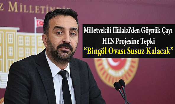 Milletvekili Hülakü'den Göynük Çayı HES Projesine Tepki: “Bingöl Ovası Susuz Kalacak”