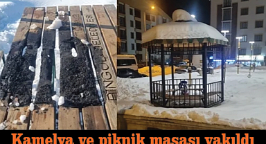 Kamelya ve piknik masası yakıldı