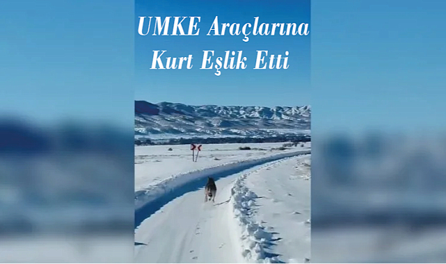 UMKE Araçlarına Kurt Eşlik Etti