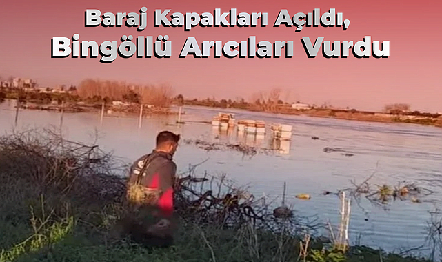 Baraj Kapakları Açıldı, Bingöllü Arıcıları Vurdu