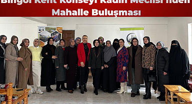 Bingöl Kent Konseyi Kadın Meclisi’nden Mahalle Buluşması