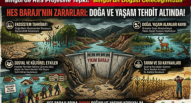 Bingöl’de HES Projesine Tepki: “Bingöl’ün Doğası Geleceğimizdir”