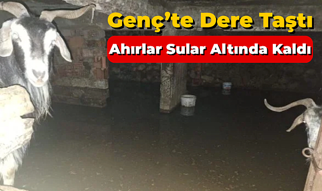 Dere Taştı, Ahırlar Sular Altında Kaldı