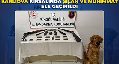 Karlıova Kırsalında Silah ve Mühimmat Ele Geçirildi