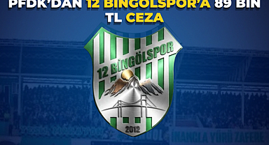 PFDK’dan 12 Bingölspor’a 89 Bin TL Ceza