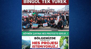 Sekêran Platformu’ndan HES Projesine Tepki: “Göynük Çayı İçin Kesin İptal Kararı Bekliyoruz”