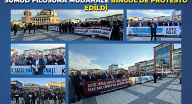 Sumud Filosuna Müdahale Bingöl’de Protesto Edildi