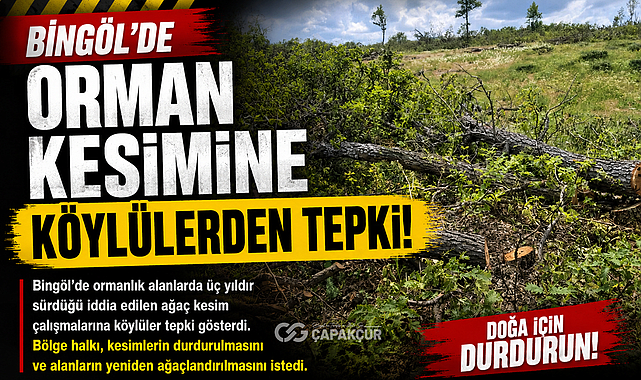 Bingöl’de Orman Kesimine Köylülerden Tepki