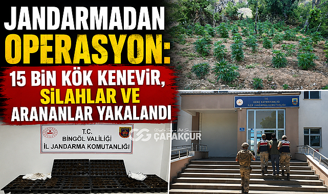 Jandarmadan Operasyon: 15 Bin Kök Kenevir, Silahlar ve Arananlar Yakalandı