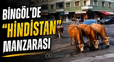 Bingöl’de “Hindistan” Manzarası