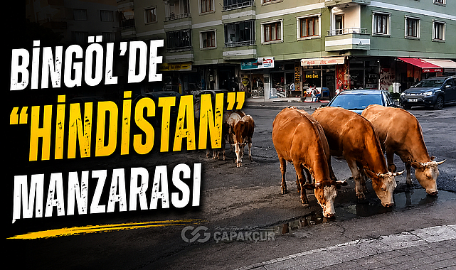 Bingöl’de “Hindistan” Manzarası