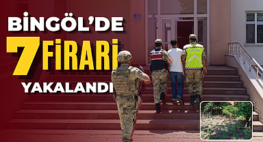 Bingöl'de Jandarmadan Operasyon: Aranan 7 Hükümlü Yakalandı, 42 Bin 712 Kök Kenevir Ele Geçirildi