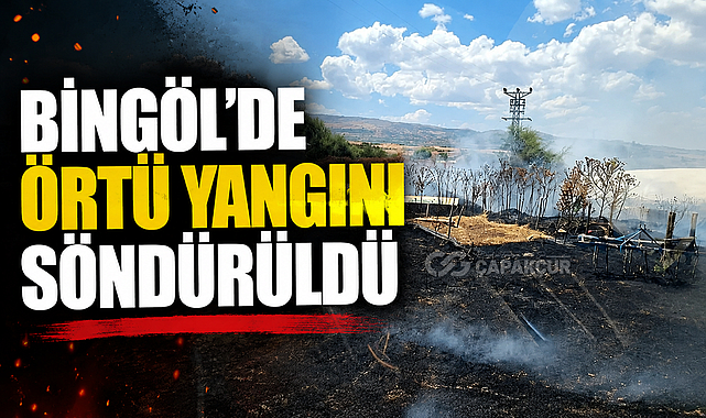 Bingöl’de Örtü yangını söndürüldü