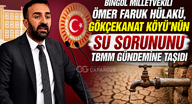 Bingöl Milletvekili Ömer Faruk Hülakü, Gökçekanat Köyü'nün Su Sorununu TBMM Gündemine Taşıdı