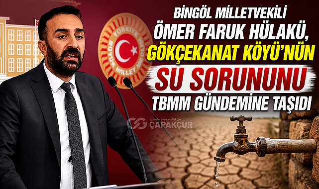 Bingöl Milletvekili Ömer Faruk Hülakü, Gökçekanat Köyü'nün Su Sorununu TBMM Gündemine Taşıdı