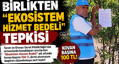 Birlikten 