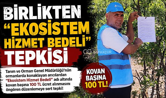 Birlikten 