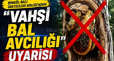 Bingöl Balı Üreticileri Birliği’nden “Vahşi Bal Avcılığı” Uyarısı