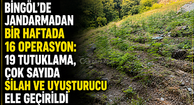Bingöl'de Jandarmadan Bir Haftada 16 Operasyon: 19 Tutuklama, Çok Sayıda Silah ve Uyuşturucu Ele Geçirildi
