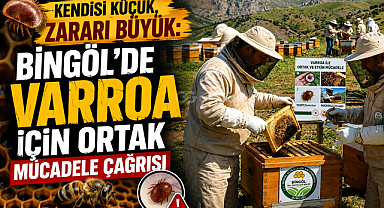 Kendisi Küçük, Zararı Büyük: Bingöl'de Varroa İçin Ortak Mücadele Çağrısı