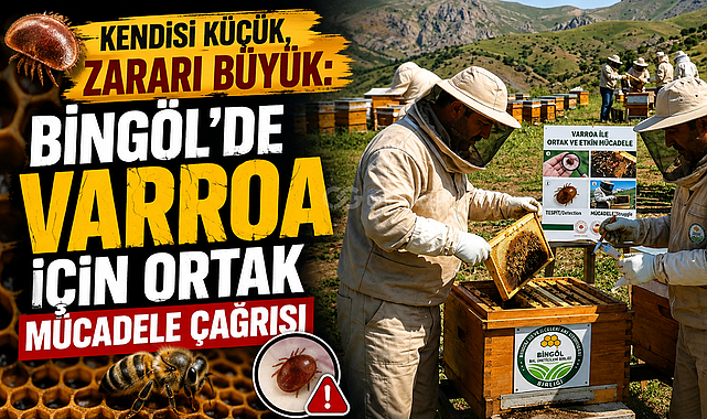 Kendisi Küçük, Zararı Büyük: Bingöl'de Varroa İçin Ortak Mücadele Çağrısı