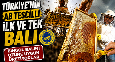 Türkiye'nin AB tescilli ilk ve tek balı Bingöl balını özüne uygun üretiyorlar