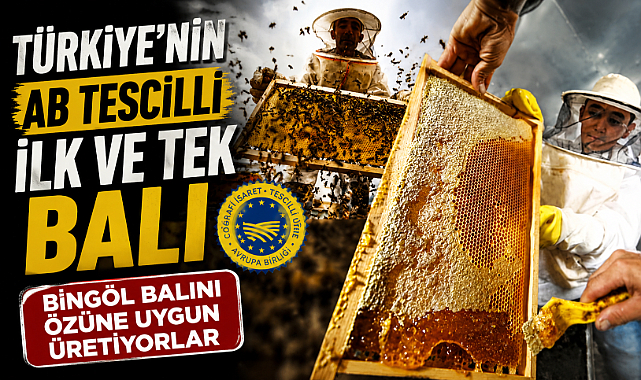 Türkiye'nin AB tescilli ilk ve tek balı Bingöl balını özüne uygun üretiyorlar