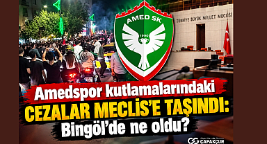 Amedspor kutlamalarındaki cezalar Meclis’e taşındı: Bingöl’de ne oldu?