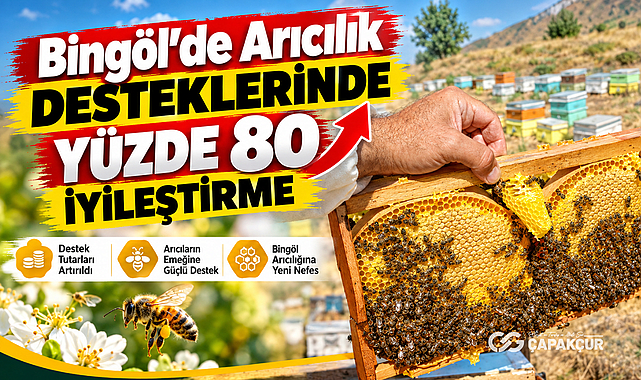 Bingöl’de Arıcılık Desteklerinde Yüzde 80 İyileştirme