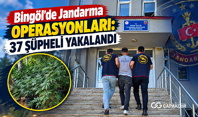 Bingöl’de Jandarma Operasyonları: 37 Şüpheli Yakalandı