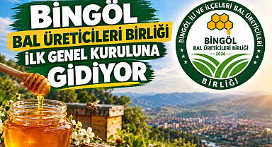 Bingöl Bal Üreticileri Birliği İlk Genel Kuruluna Gidiyor