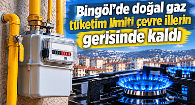 Bingöl’de doğal gaz tüketim limiti çevre illerin gerisinde kaldı