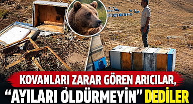 Kovanları zarar gören arıcılar, “Ayıları öldürmeyin” dediler