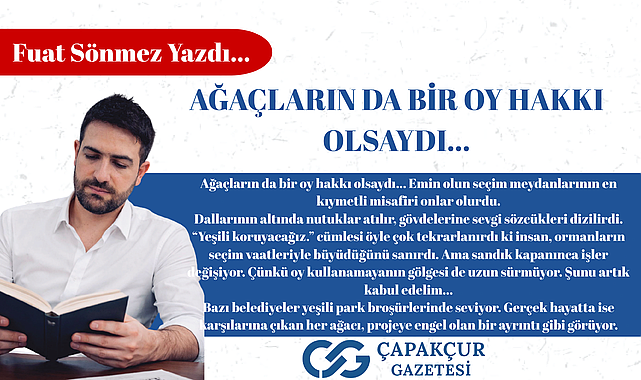 Ağaçların da Bir Oy Hakkı Olsaydı…