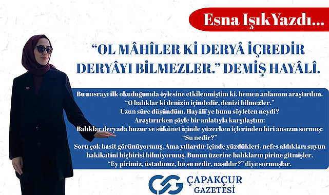 "Ol mâhîler ki deryâ içredir deryâyı bilmezler." demiş Hayâlî.