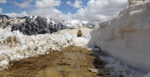 Mayıs ayında 8 metrelik karla mücadele